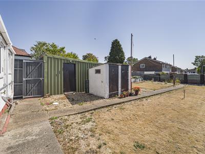 Picture 12